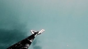 Spearfishing golden grey mullet near Varna, Bulgaria, Black sea/ Подводен  риболов на платерина