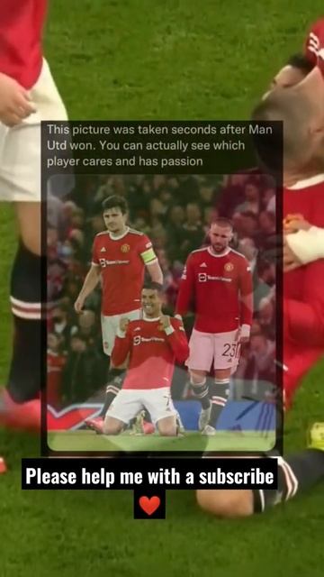 when you don't have the passion to win 🤷🏻♂️ смотреть онлайн