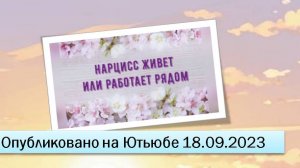 Нарцисс живет или работает рядом (18.09.2023)