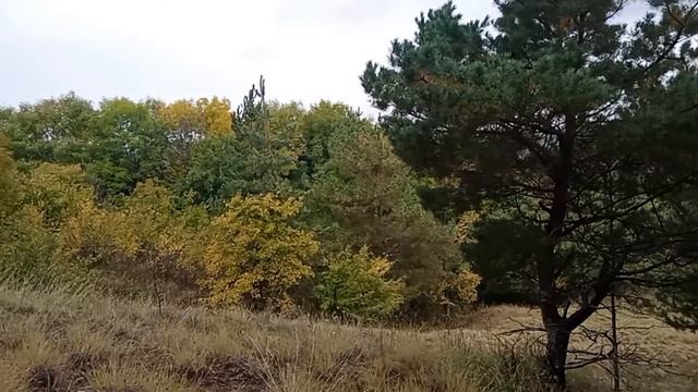 Проводник состояния смотреть онлайн