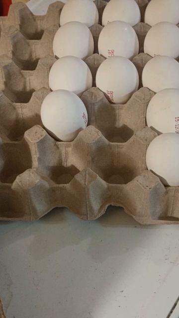 Лайфхак на кухне - яйца #яйца #кухня #хранение #lifehack #лфйфхак смотреть онлайн