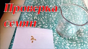 Проверка пригодности семян к посадке. Отбраковка семян.