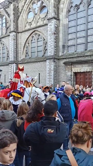 Факты о рождестве в Нидерландах short #shorts смотреть онлайн