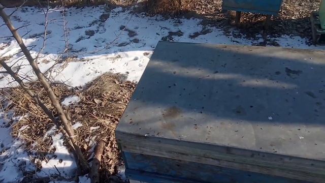 Карника Ф3 проблемная, кормим смотреть онлайн