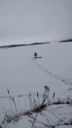 Моржевание, более подробно в длином видео 26.01.25