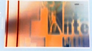 Chipettes born this way