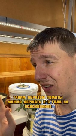 Срезал томаты