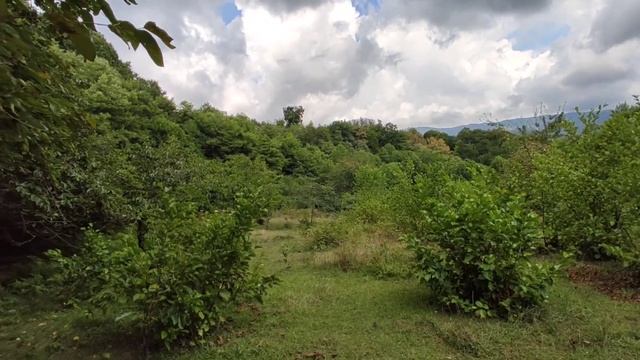 70сот Сочи, Илларионовка. Отличный вид! смотреть онлайн