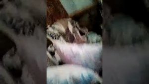 Алина заматала меня скотчем