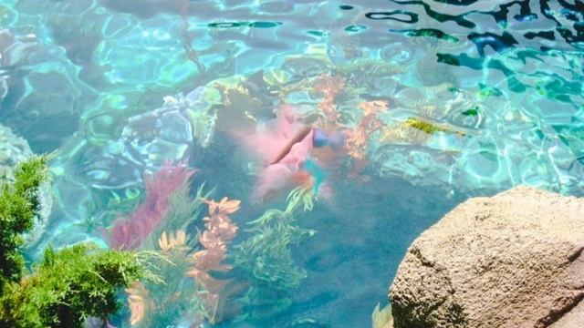 under the seaa !! 🌊 смотреть онлайн