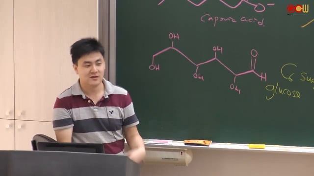 Lec 16 Fatty acid degradation (1/2) смотреть онлайн