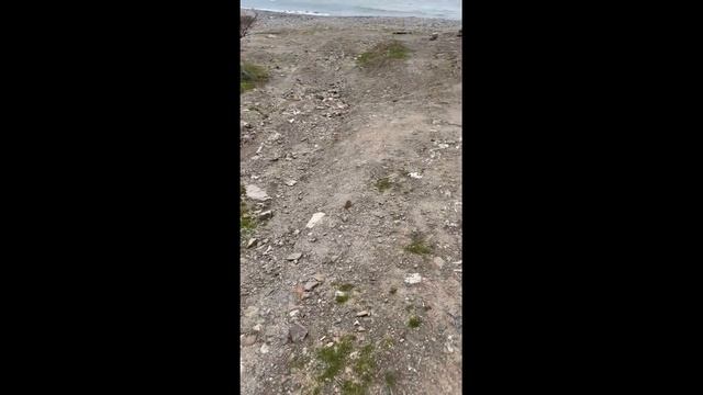 Мы в Крыму. Часть 6. Заключительная...