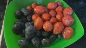 Сливовая пастила с орехами. Приготовление в домашних условиях. В сушилке_ АРХИВ