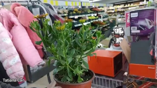 Влог_У нас Дождь _Неожиданно Муж пришёл _В магазин с мужем _Наши Покупки_Домашнее видео _Турция смотреть онлайн