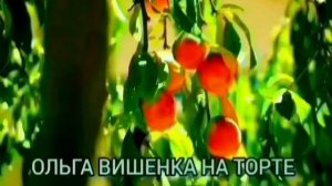 ВСЕХ СОВЕТЧИКОВ В БАНЮ. ОЛЬГА УРАЛОЧКА LIVE. ОБЗОР.