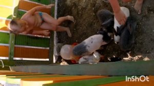 Дети мучают животных. Трогательный зоопарк в Анапе.