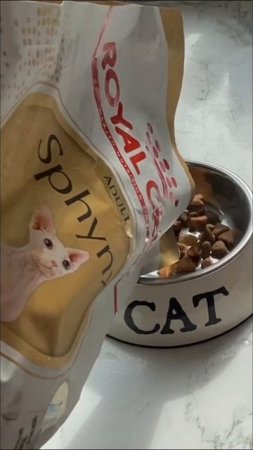 Royal Canin for Sphynx Cats