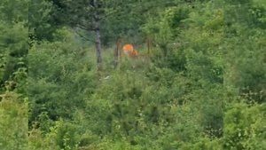 Термален прицел Pulsar Thermion XQ50 дистанция 300м с карабина Benelli ARGO 30-06 боеприпас Geco