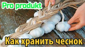 Как хранить чеснок