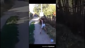 Бои без правил