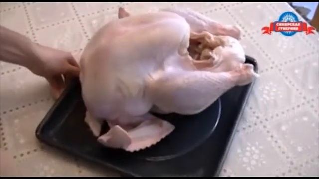 Индейка (15 сек)_22.06.2011 смотреть онлайн