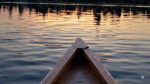 Shentala - Москва, Питер, Шентала.