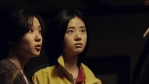 эксперимент «ведьма»