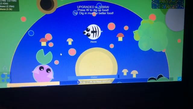 Пластик и Июля играем в mope io на одном сервере с двух компов смотреть онлайн