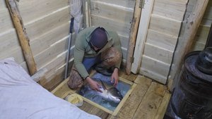 Я сделал самую эффективную приманку для рыбы в мире и поймал рыбу в своем пруду"