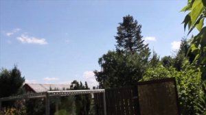 Спортивные голуби Вальтера, Walter's Brieftauben, My racing pigeons – 06.08.2022