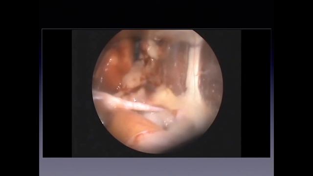 Презентация по ppdh смотреть онлайн