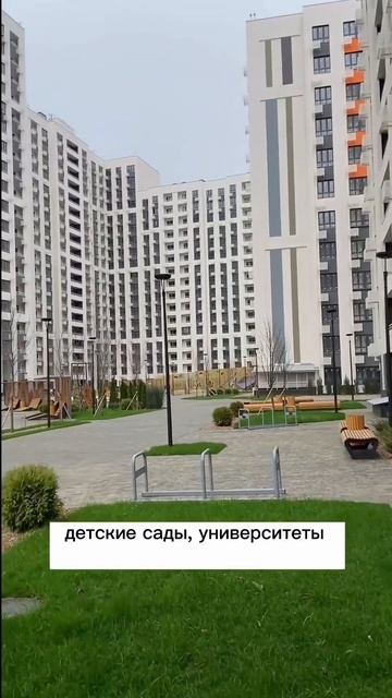 Что лучше Сочи или Краснодар? Купить квартиру в Сочи Краснодар #shorts