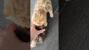 чудо-ребенок 😍🥰