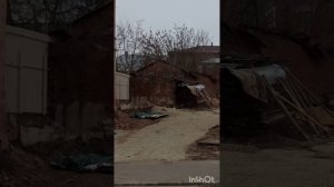 Елец, 25.01.2025