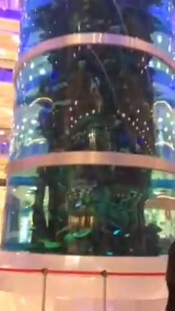 Самый большой аквариум в европе смотреть онлайн