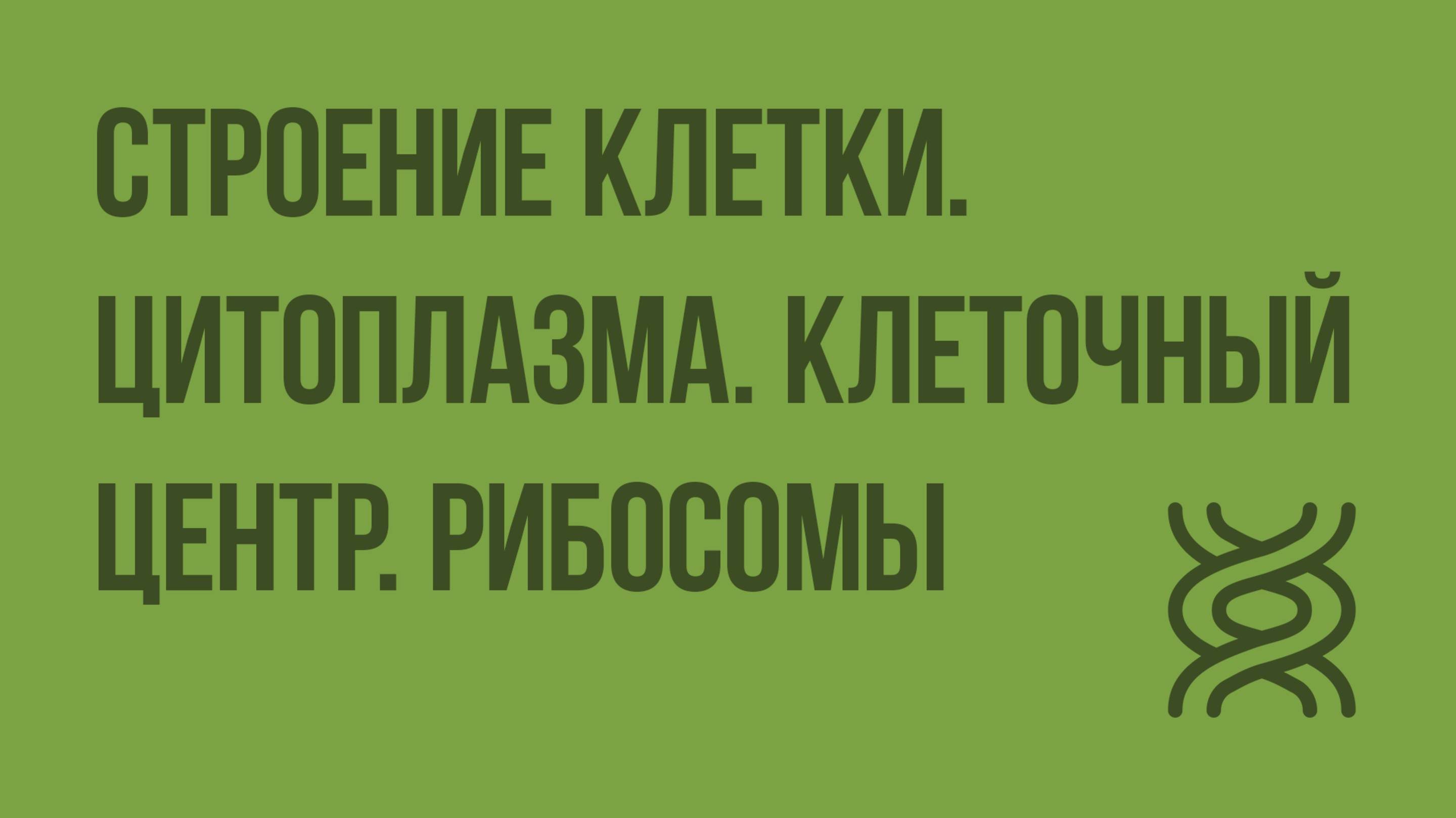 Строение клетки. Цитоплазма. Клеточный центр. Рибосомы. Видеоурок по биологии 10 класс