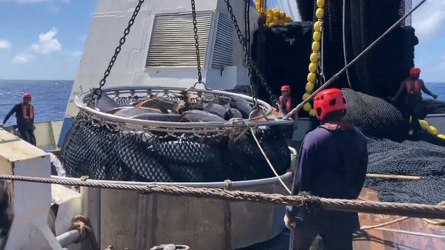 TORRE ITALIA M190 смотреть онлайн