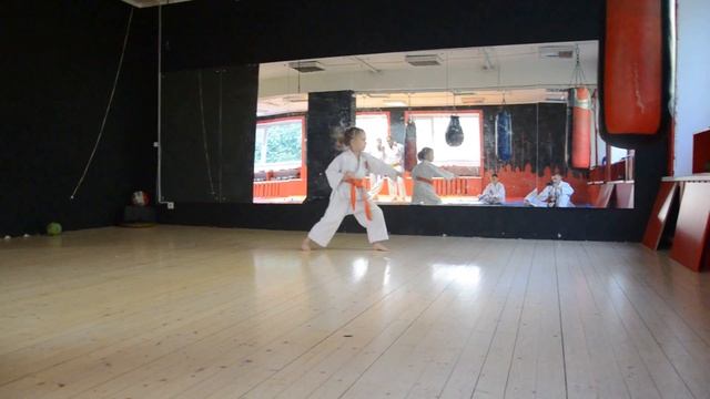 ЭНПИ, ENPI Kata Shotokan karate kata Performs Katiunya :) 少林