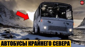 5 АВТОБУСОВ СССР ДЛЯ КРАЙНЕГО СЕВЕРА.