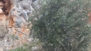 Путешествие в пещерку афонского старца Иосифа Исихаста