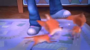 Волшебная палочка 36 серия