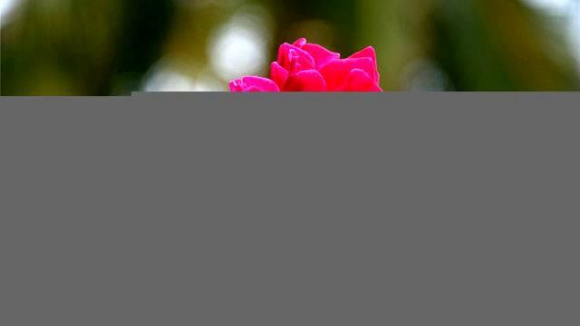 Новые русские песни и видео 2015 года