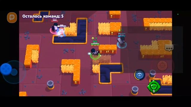 новоходний стрим бравл старс копим на легу 🤯 смотреть онлайн