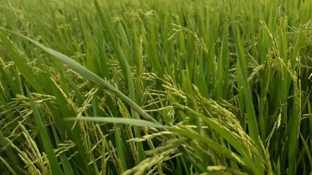 Сделаем совместную практику 25-26 мая! Воронка благополучия...