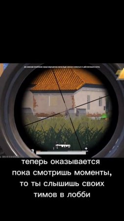 ПРИМАНКА #lissicin_e #pubgmobile #pubg #пабг