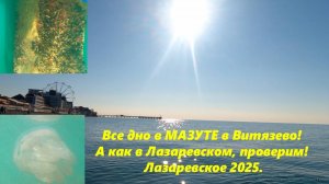 В Витязево морское дно в Мазуте, а как в Лазаревском??? Проверим конец января 2025г!