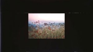 Joep Beving - Ala (Slowed + reverb)