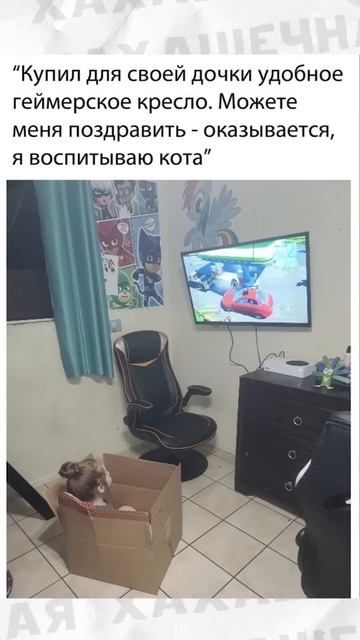 #приколы #мемы #мем #лютыеприколы