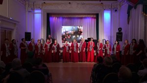 Валенки, да валенки. Исполняет ансамбль Мила.