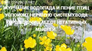 ЖУРЧАНИЕ ВОДОПАДА И ПЕНИЕ ПТИЦ УСПОКОИТ НЕРВНУЮ СИСТЕМУ.ВОДА ХОРОШО ОЧИЩАЕТ ОТ НЕГАТИВНЫХ МЫСЛЕЙ.